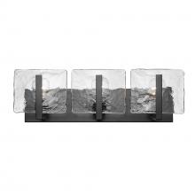  3164-BA3 BLK-HWG - Aenon 3 Light Bath Vanity in Matte Black with Hammered Water Glass Shade